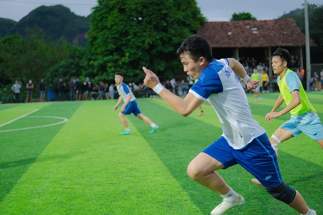 会的策略变 会的策略变