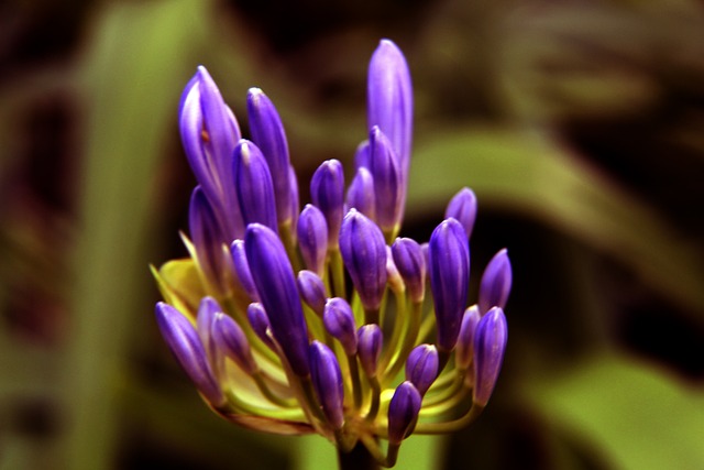 时间记录和 时间记录和