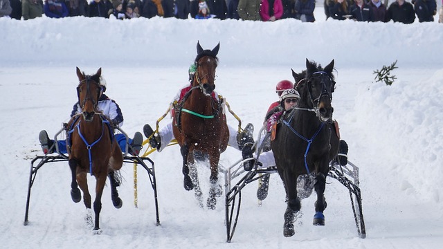 个为之拼搏 个为之拼搏