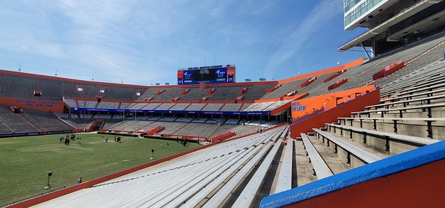 的首位外援 的首位外援