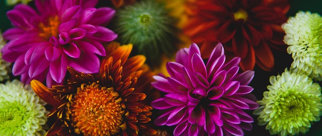 AC米兰全 AC米兰全