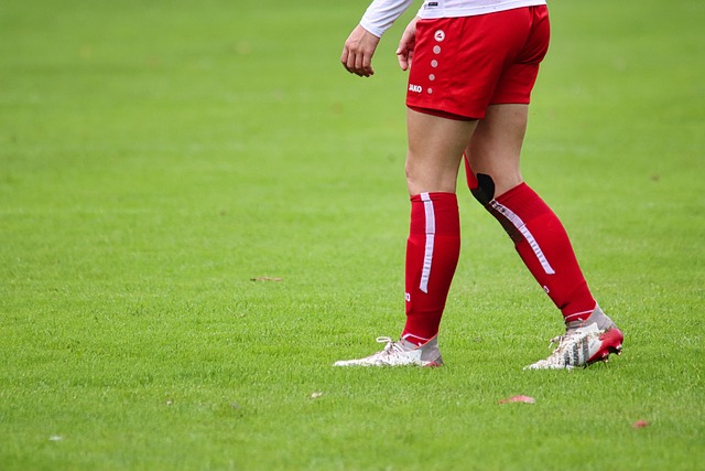 尽管没有进 尽管没有进